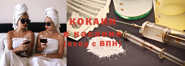 шишки Вязьма