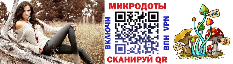 мориарти официальный сайт  кракен как зайти  Онега  Галлюциногенные грибы Cubensis 